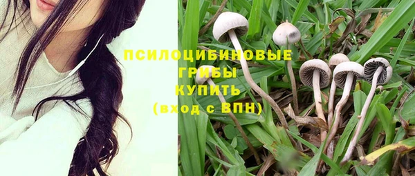 прущая мука Беломорск